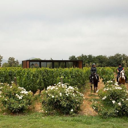 Vibo Wine Lodge At Viu Manent Santa Cruz Kültér fotó