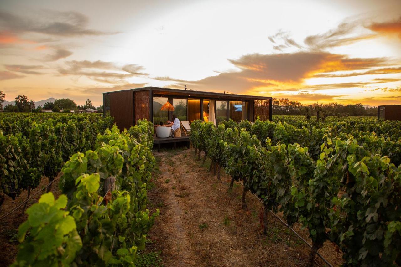 Vibo Wine Lodge At Viu Manent Santa Cruz Kültér fotó