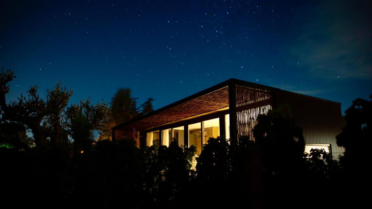 Vibo Wine Lodge At Viu Manent Santa Cruz Kültér fotó