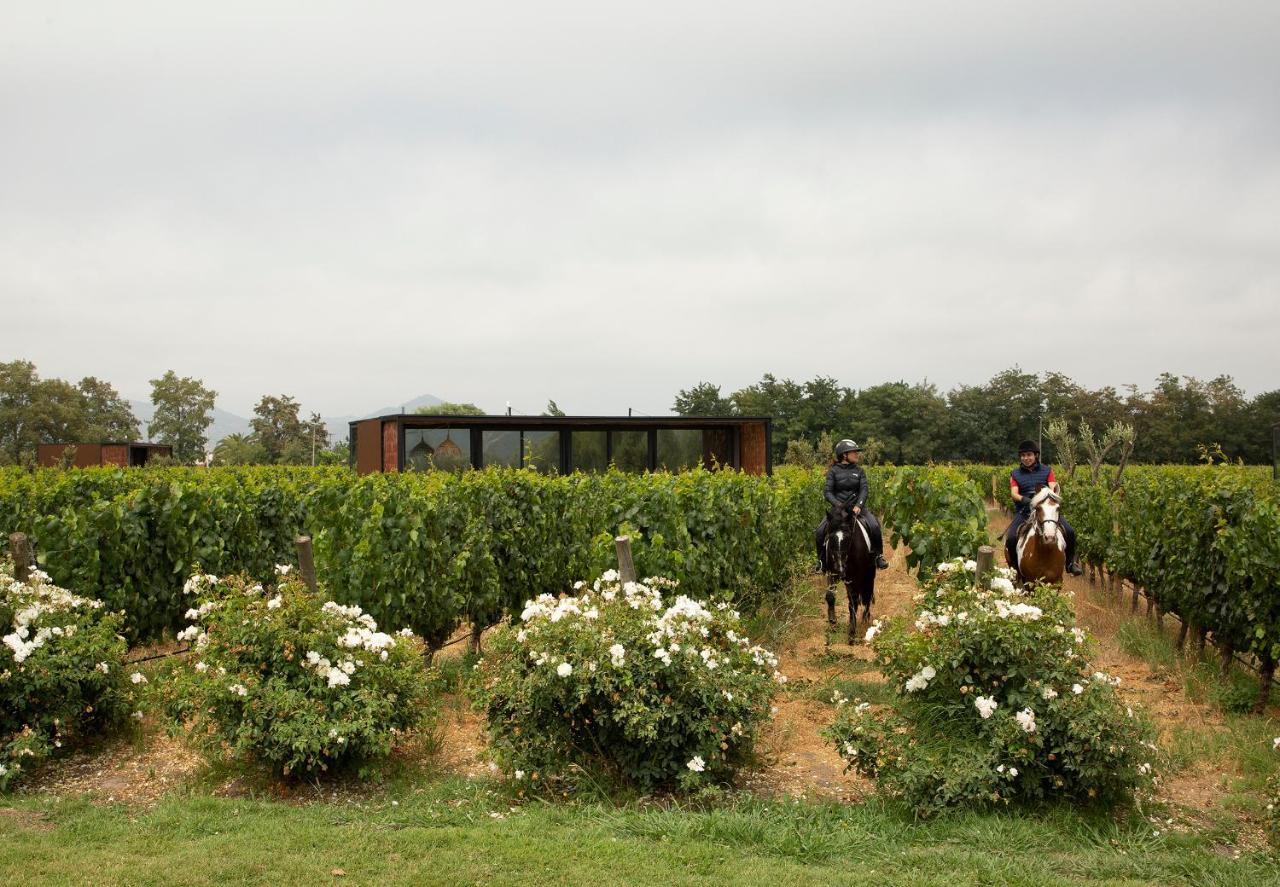 Vibo Wine Lodge At Viu Manent Santa Cruz Kültér fotó