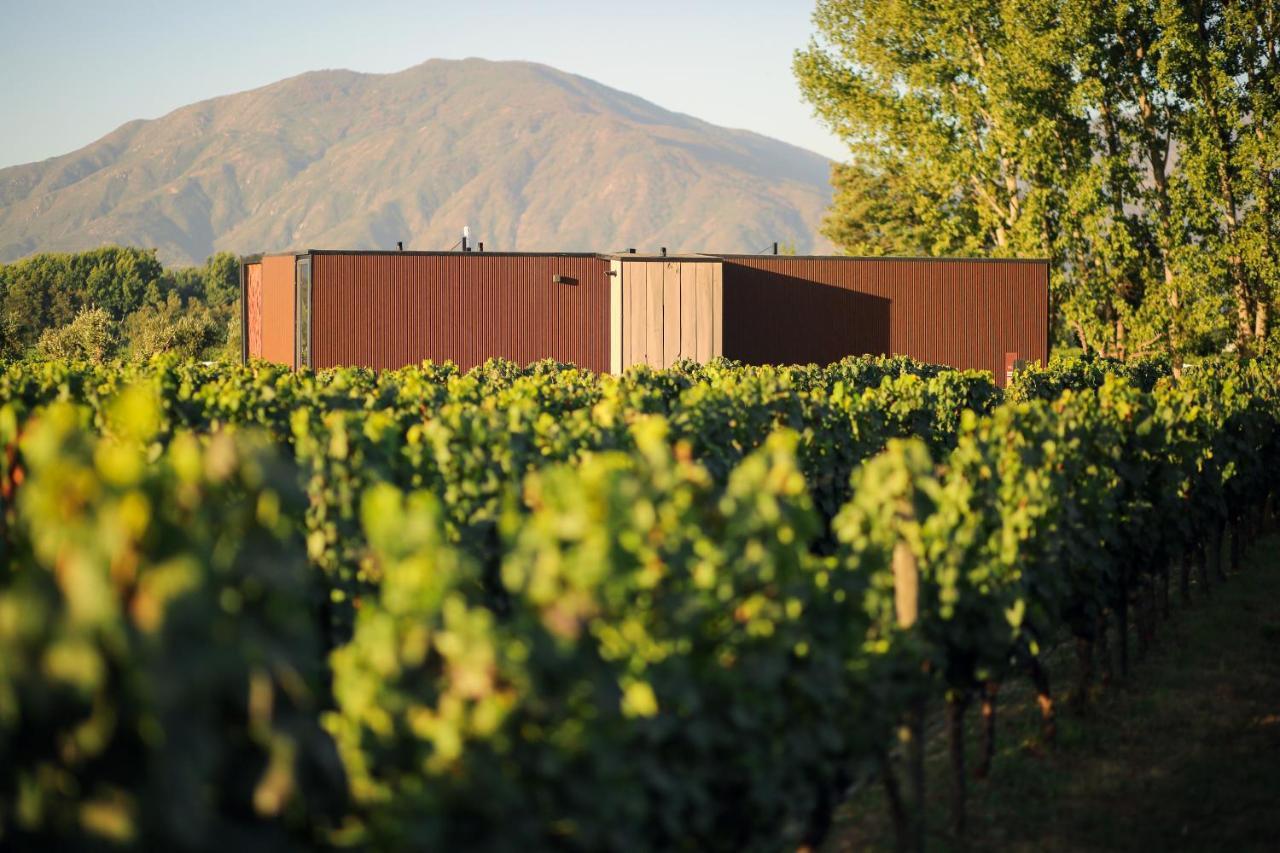 Vibo Wine Lodge At Viu Manent Santa Cruz Kültér fotó
