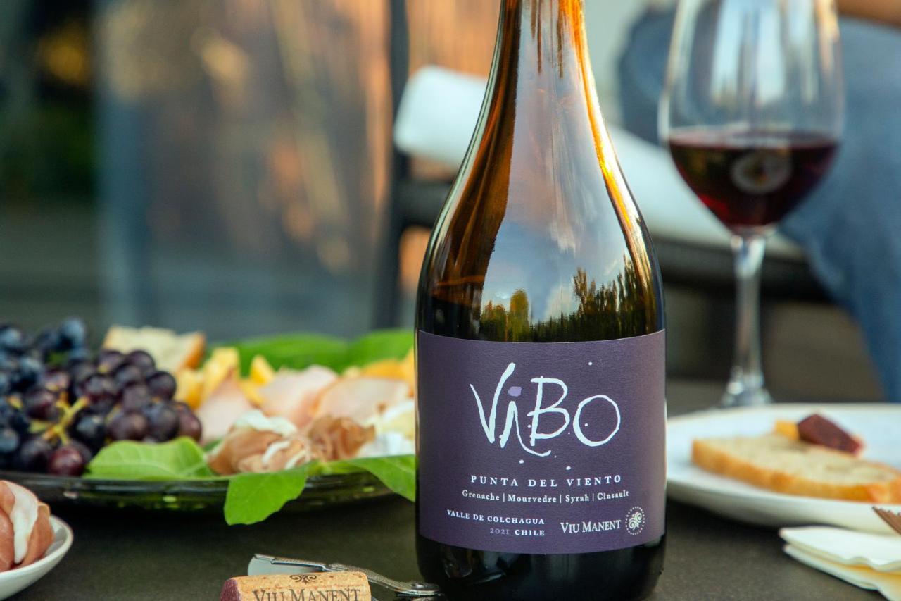 Vibo Wine Lodge At Viu Manent Santa Cruz Kültér fotó